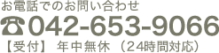 TEL: 042-653-9066